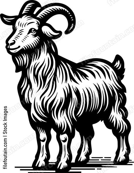Goat