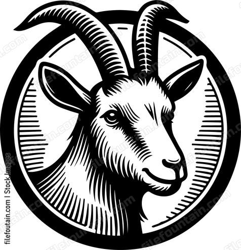 Goat
