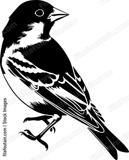 Goldfinch