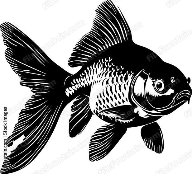 Goldfish