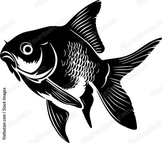 Goldfish
