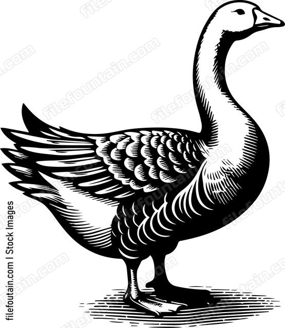 Goose