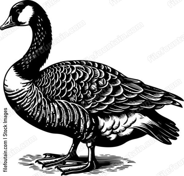 Goose