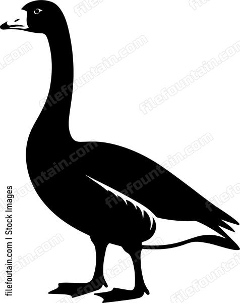 Goose