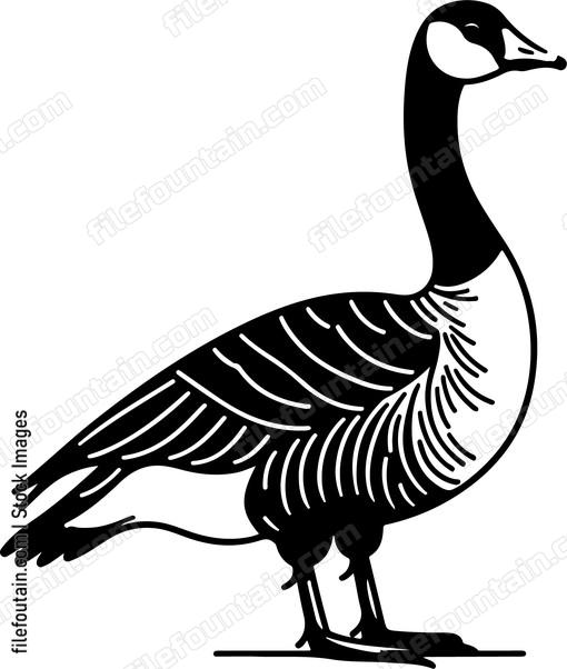 Goose