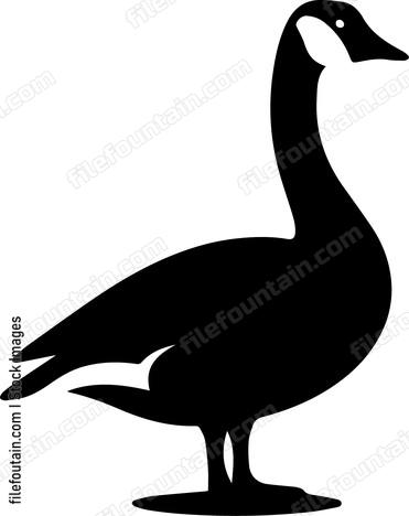 Goose