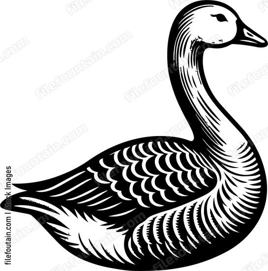 Goose