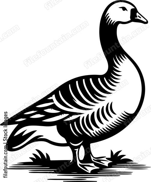 Goose