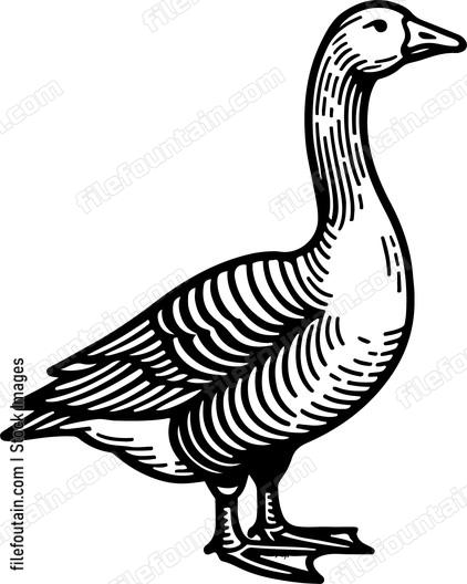 Goose
