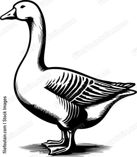 Goose