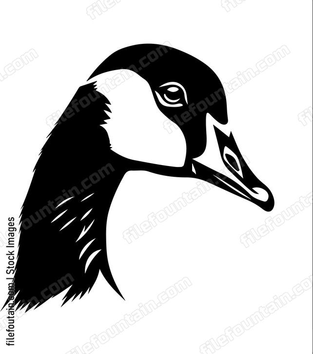 Goose Face