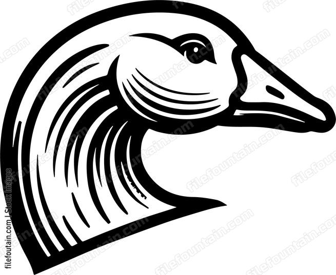 Goose Head