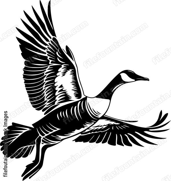 Goose in flight