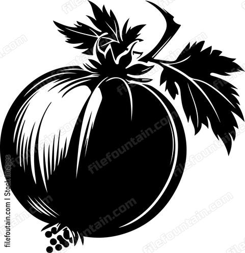 Gooseberry