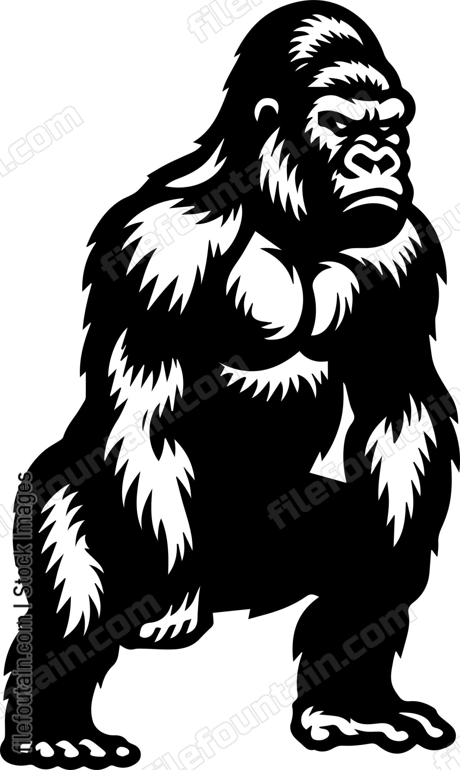 Gorilla