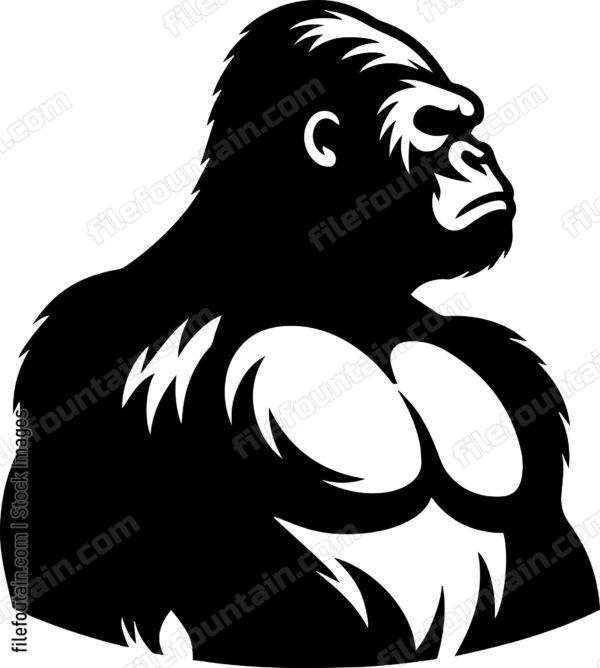 Gorilla