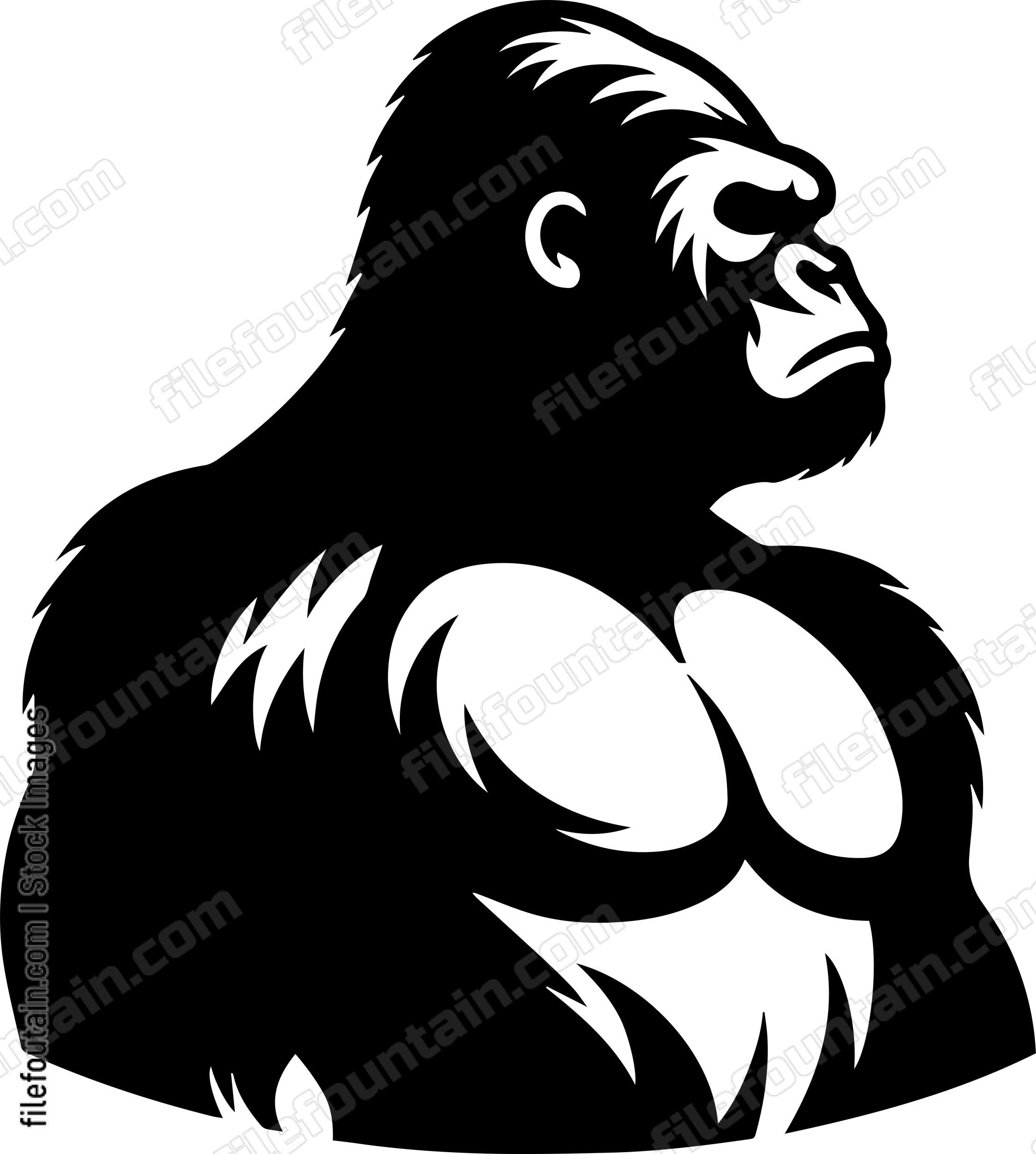 Gorilla