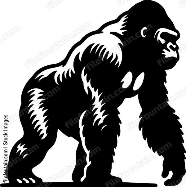 Gorilla