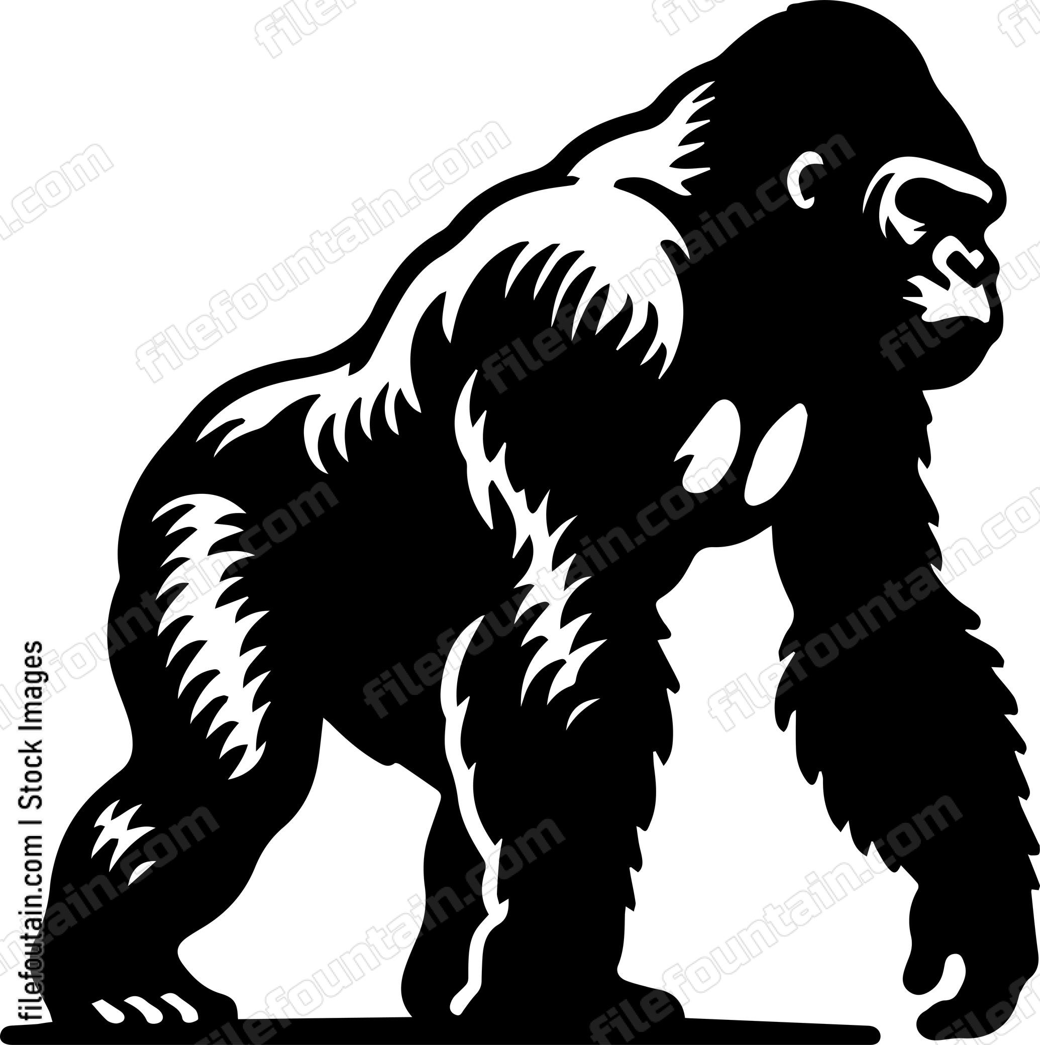 Gorilla