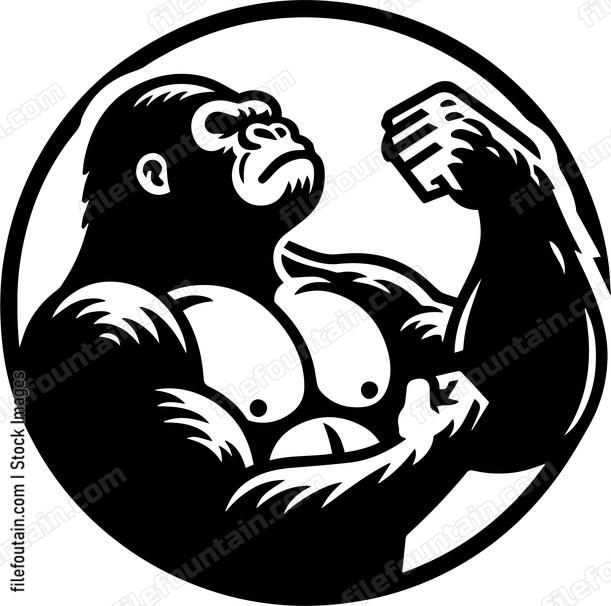 Gorilla Beating Chest
