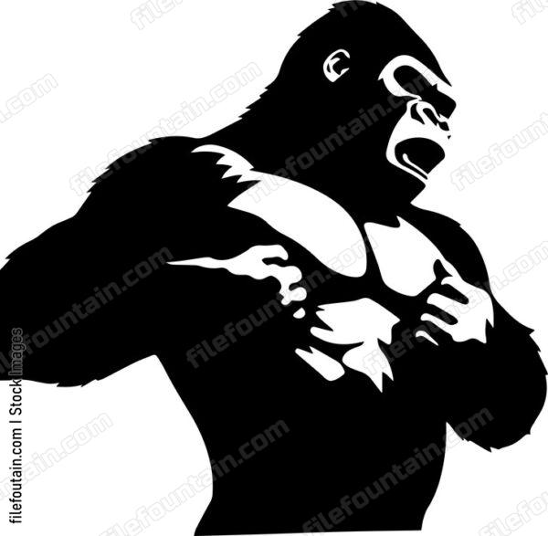 Gorilla Beating Chest