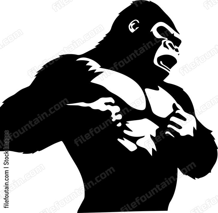 Gorilla Beating Chest