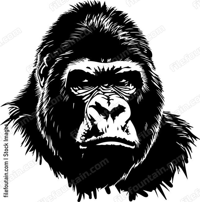 Gorilla Male