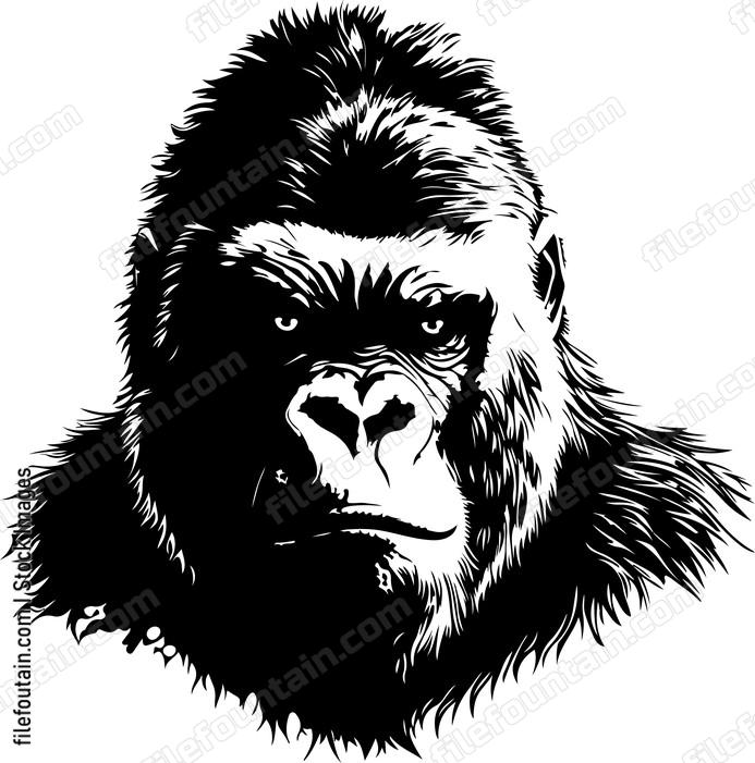 Gorilla Male