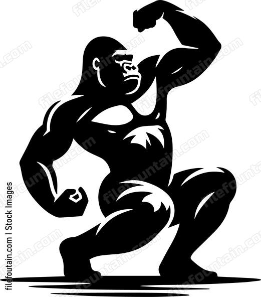 gorilla showing strengh