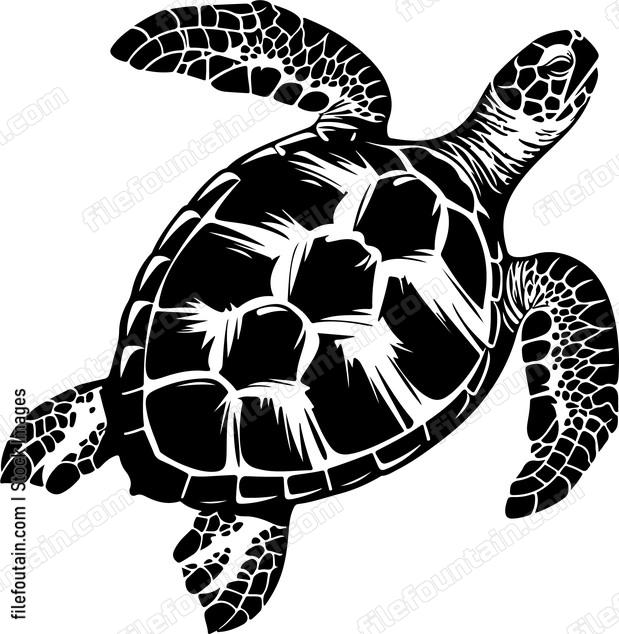 Graceful sea turtle