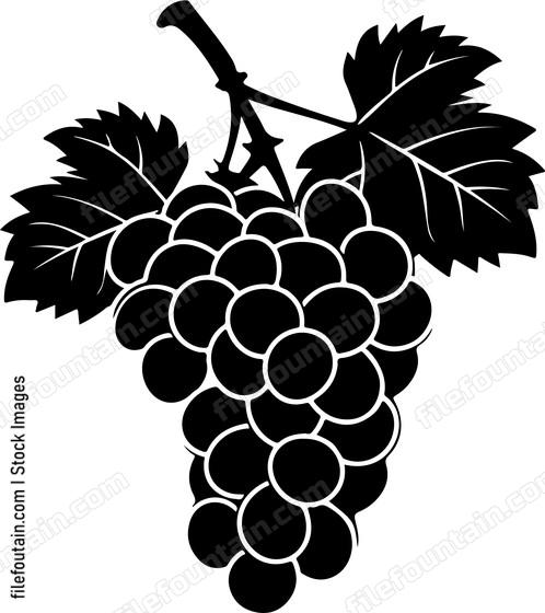 Grape Cluster