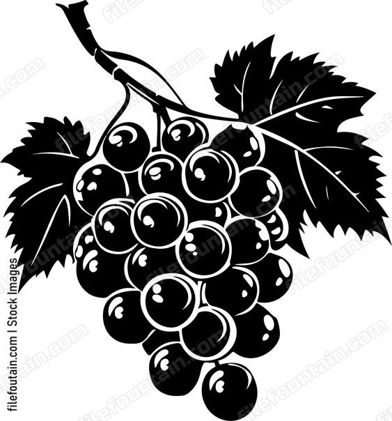 Grape Cluster Design
