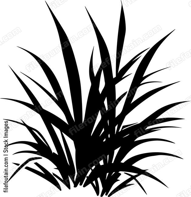Grass