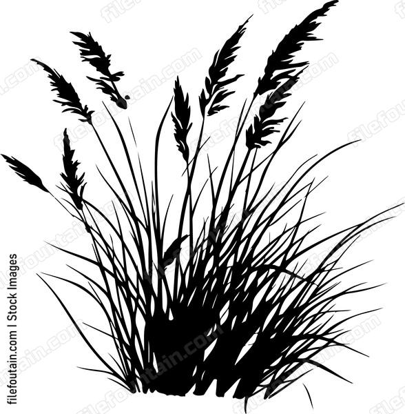 Grass