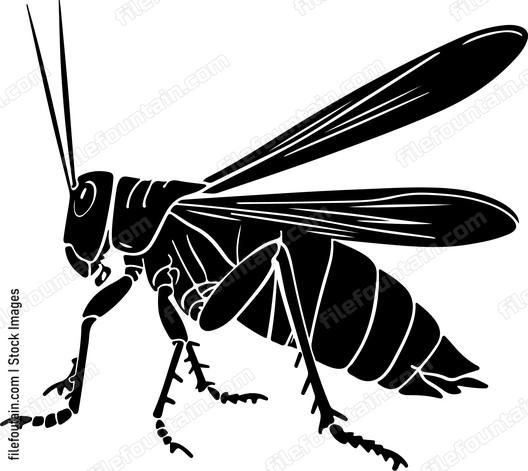 Grasshopper Style