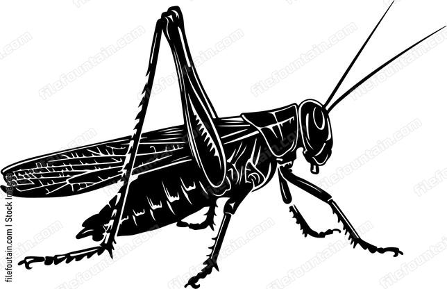 Grasshopper Style