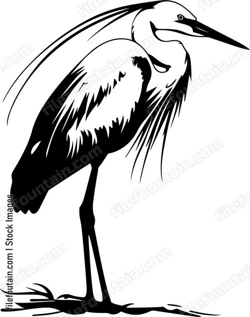 Great Egret