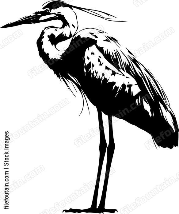 Great Egret