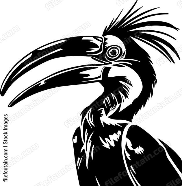 Great Hornbill