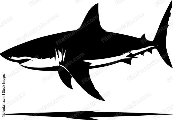 Great White Shark