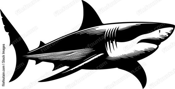 Great White Shark