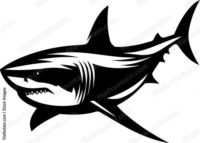 Great White Shark