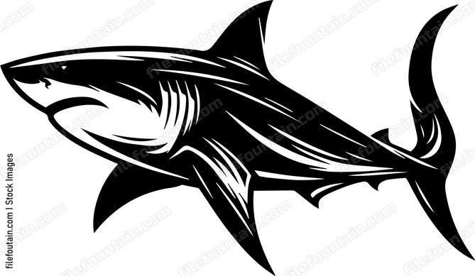Great White Shark