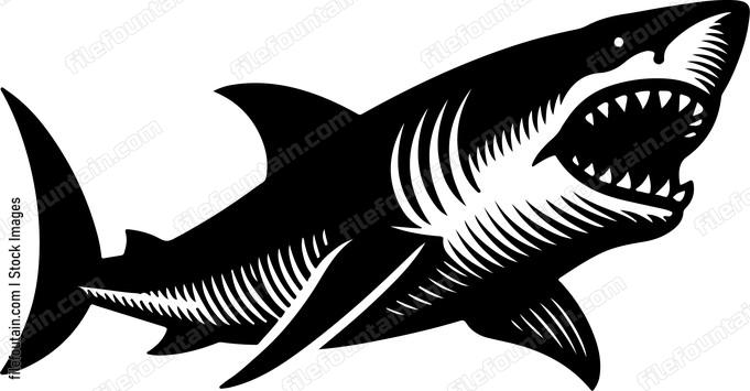 Great White Shark