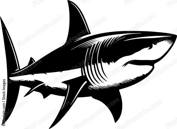 Great White Shark