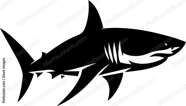 Great White Shark
