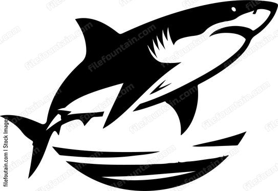 Great White Shark