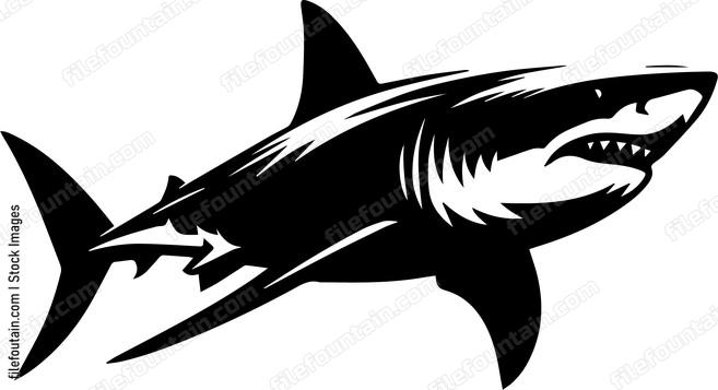 Great White Shark
