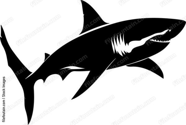 Great White Shark