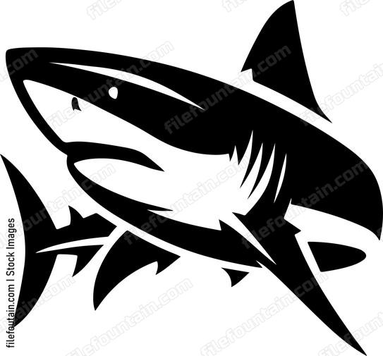 Great White Shark